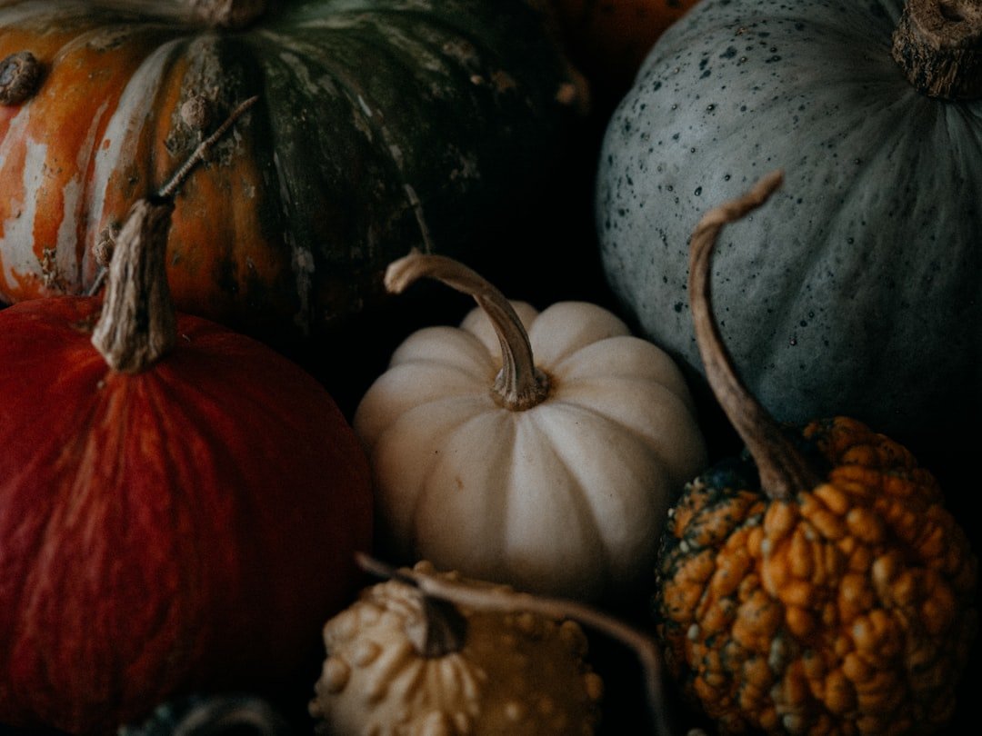 découvrez des recettes délicieuses et faciles à base de citrouille pour toutes les occasions, allant des desserts gourmands aux plats salés réconfortants.