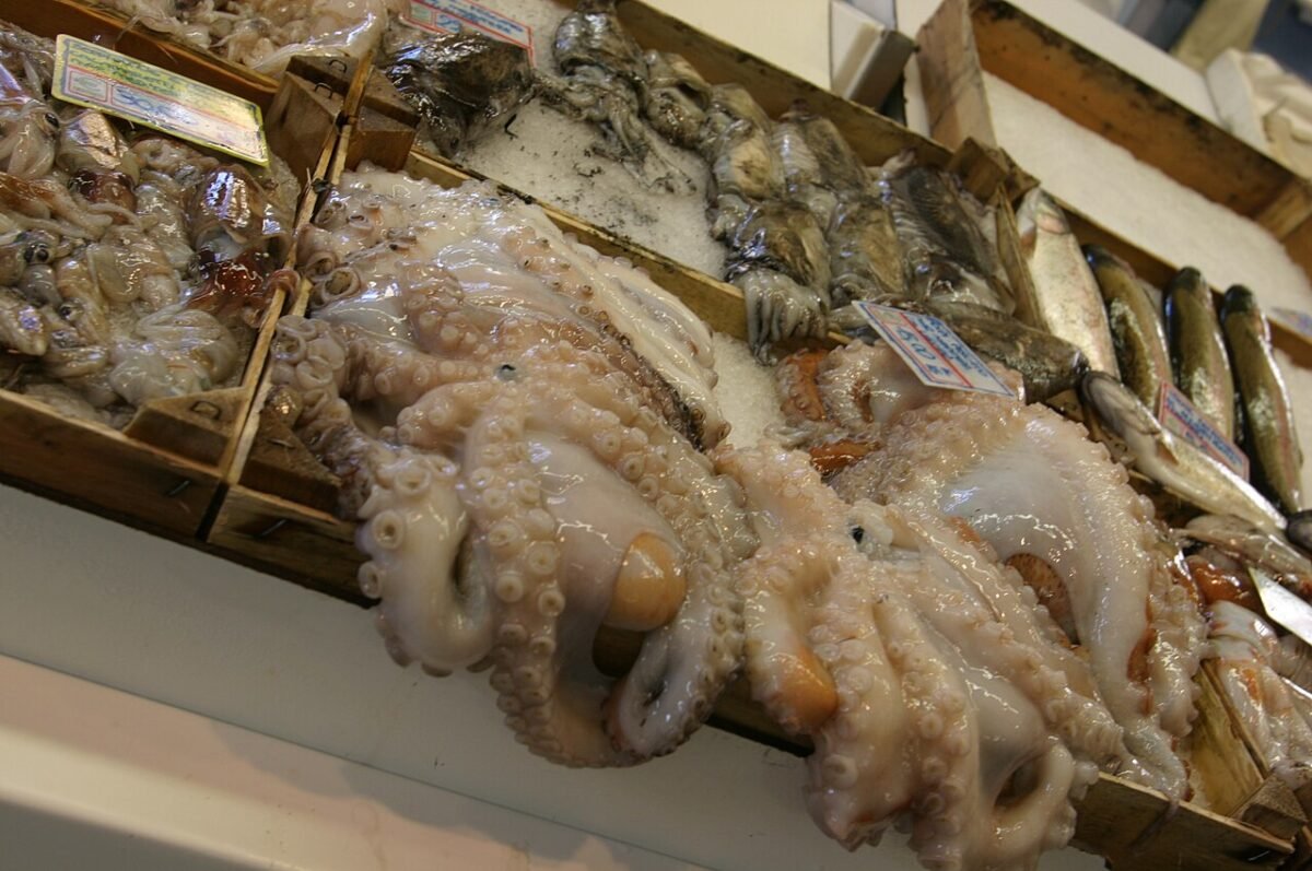 Que faire à Ventimiglia le marché du vendredi : conseils pratiques
