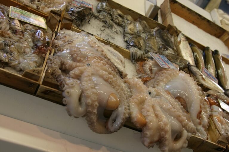 Que faire à Ventimiglia le marché du vendredi : conseils pratiques