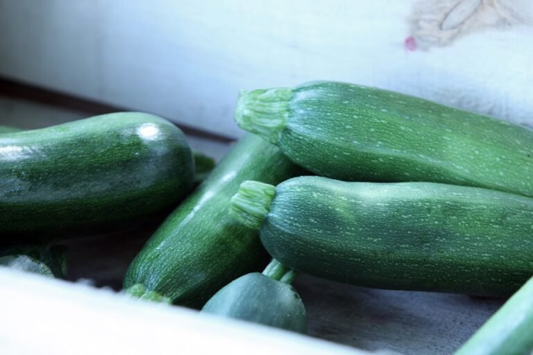 découvrez comment préparer des courgettes vapeur tendres et savoureuses, une recette saine et simple à intégrer à vos repas quotidiens.