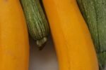découvrez les meilleures méthodes pour conserver les courgettes fraîchement récoltées et prolonger leur durée de vie grâce à des techniques simples et efficaces de préservation.