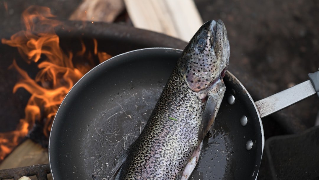 découvrez des recettes simples et savoureuses pour cuisiner le bar, un poisson délicat et raffiné, parfait pour toutes vos occasions.